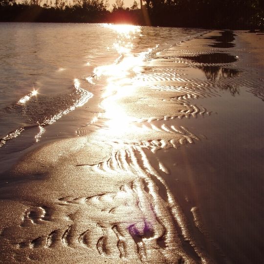 Hobe Sound National Wildlife Refuge
