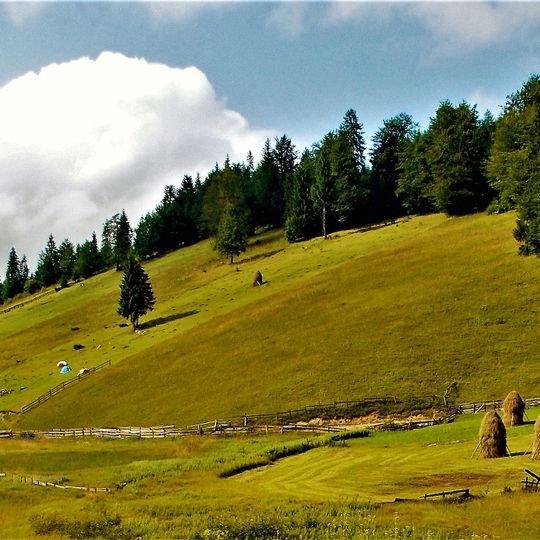 Parc naturel Apuseni