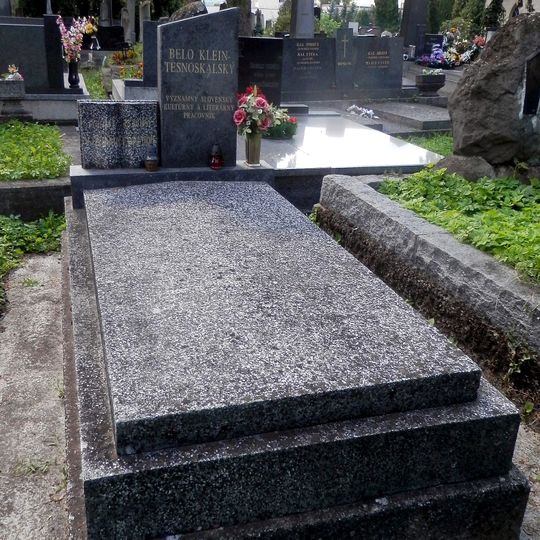 B. Klein-Tesnoskalský
