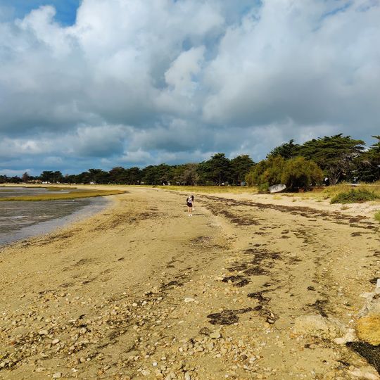 Plage aux Coquillages