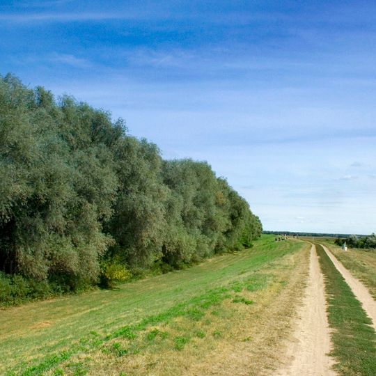 Contea di Csongrád-Csanád