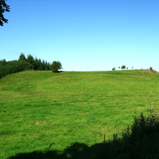 Prienai hillfort