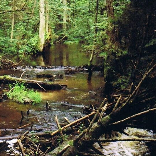 Rezerwat przyrody Szum