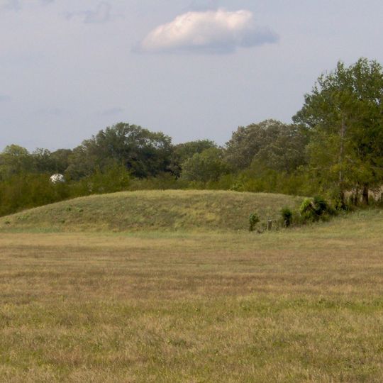 Castalian Springs Mound Site