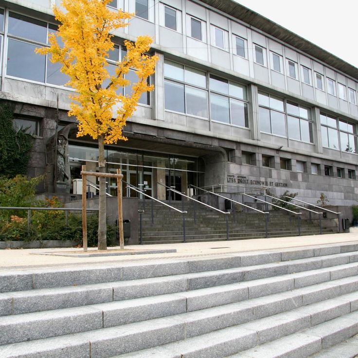 Bibliothèque universitaire Droit, Économie, Management