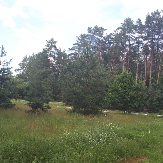 Духанівський заказник