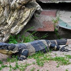 Armadale Reptile Centre