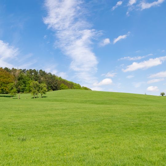 Hinnenburger Forst mit Emder Bachtal