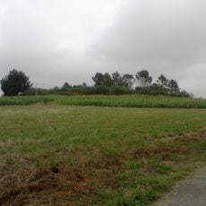 Castro da Pena Negra