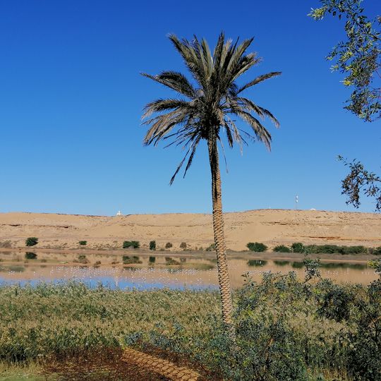 Saguia el-Hamra