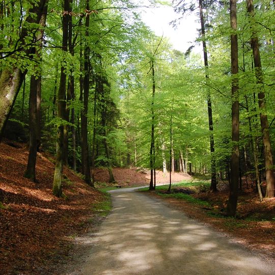 Volčji Potok Arboretum