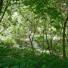 Feuchtgebiet im Gewann Im Heimbühl
