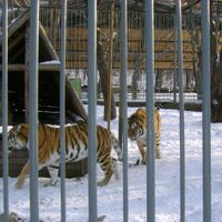 Мічурінське сільське поселення (Хабаровський район)