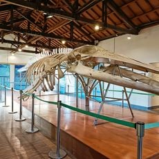 Taijiang Cetacean Museum