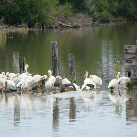Parc provincial d'Hecla/Grindstone