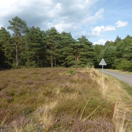 Rössenbergheide - Külsenmoor