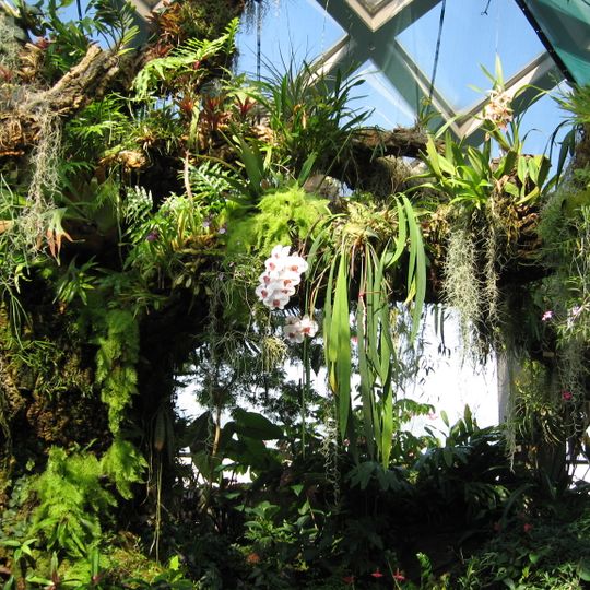 Boettcher Memorial Tropical Conservatory