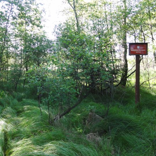 Nature reserve Rotuz