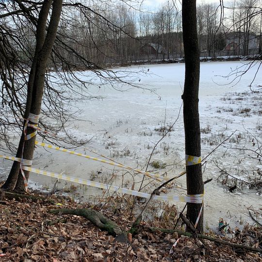 Opalikha-Alekseevskoye