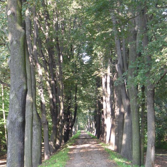 Spitzahorn-Allee Spreedamm