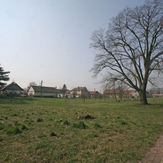 Lípa velkolistá v Hrobičanech