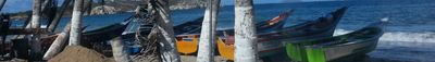 Panoramic View 1