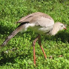 Parc national El Rey
