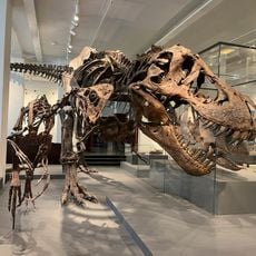 Geologiske utstillinger