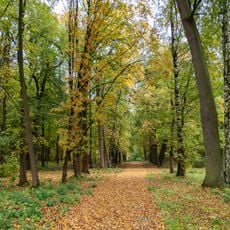 Парк (Колтуши)