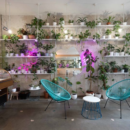 Mistral Café