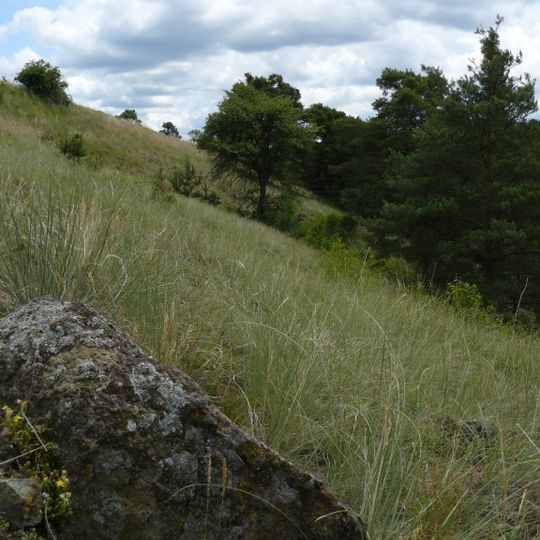 Biskoupská hadcová step