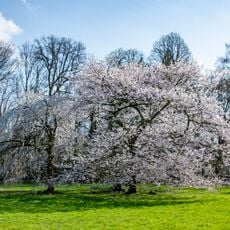 Meise Botanic Garden