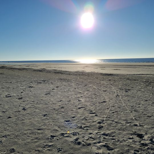 Myrtle Street Public Beach Access