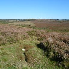 Forêt d'Ashdown