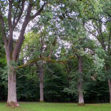 Eichenhain bei Brunn