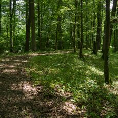 Viereckschanze von Gerichtstetten