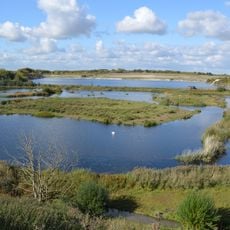 College Lake nature reserve