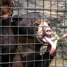 Avilon Zoo