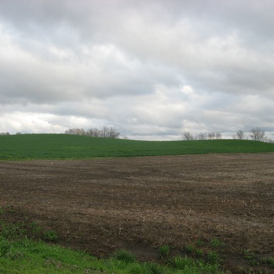 Ware Mounds and Village Site