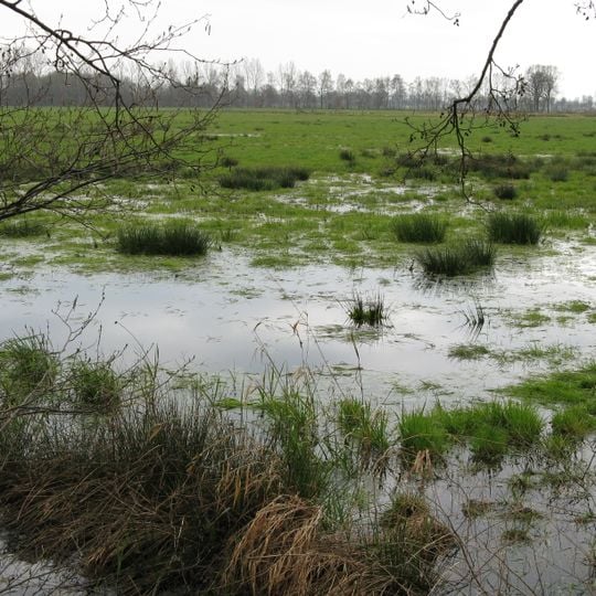 Oppenwehe Moor