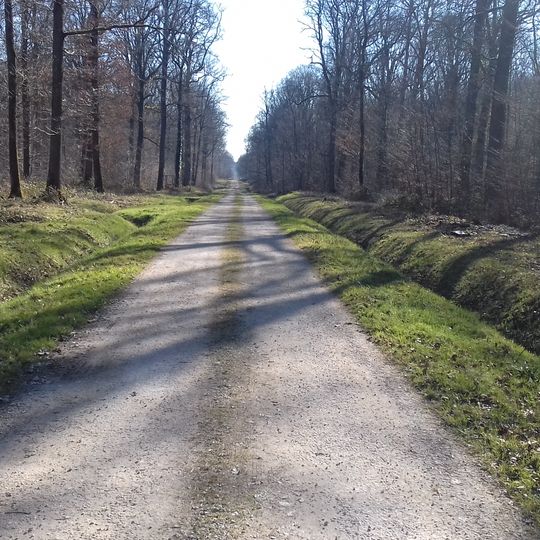Forest of Villefermoy