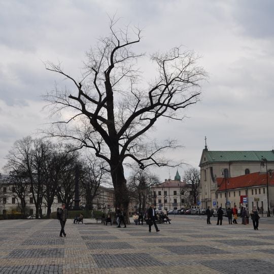 Litewski Square in Lublin