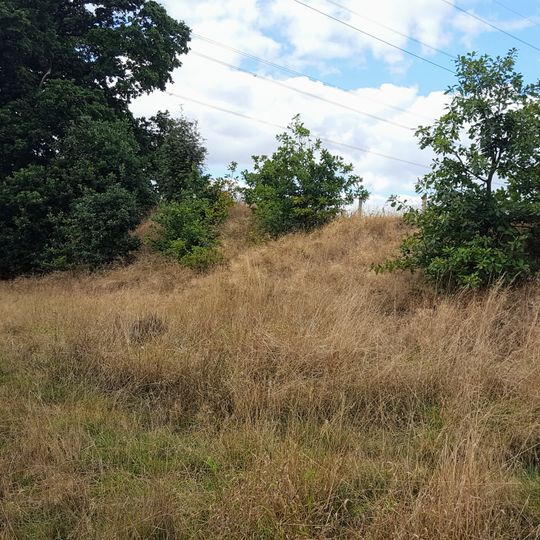 Roman Ridge: section 300yds long N of Birchwood