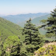 Los Reales de Sierra Bermeja