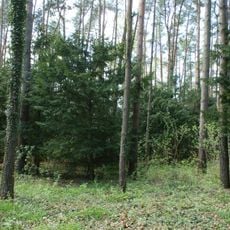 Nature reserve Zdroje