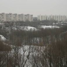 The lower reaches of Kamenny Log