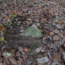 Grenzstein (Engelfangen)