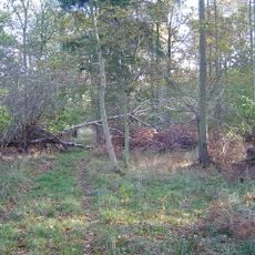 Collyweston Great Wood and Easton Hornstocks