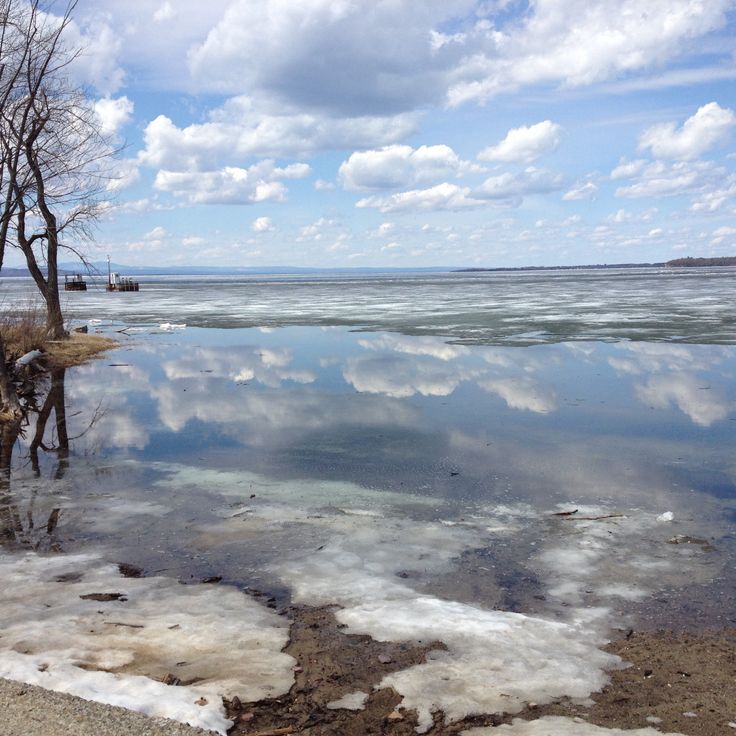 Great Cedars Swamp Boardwalk