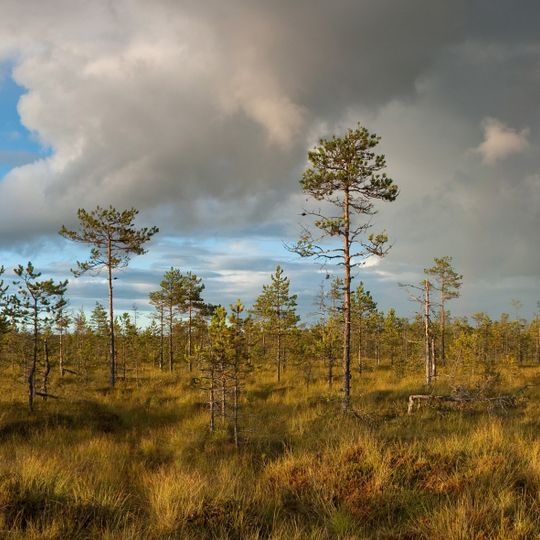 Luhasoo Nature Reserve